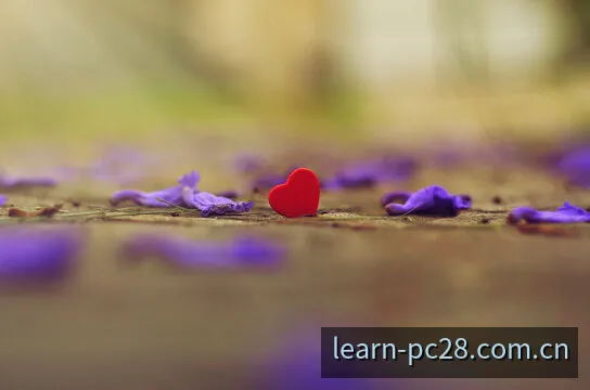 数字与开奖数据构成的抽象出版图景